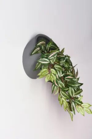 Květináč MURINA v šedé barvě