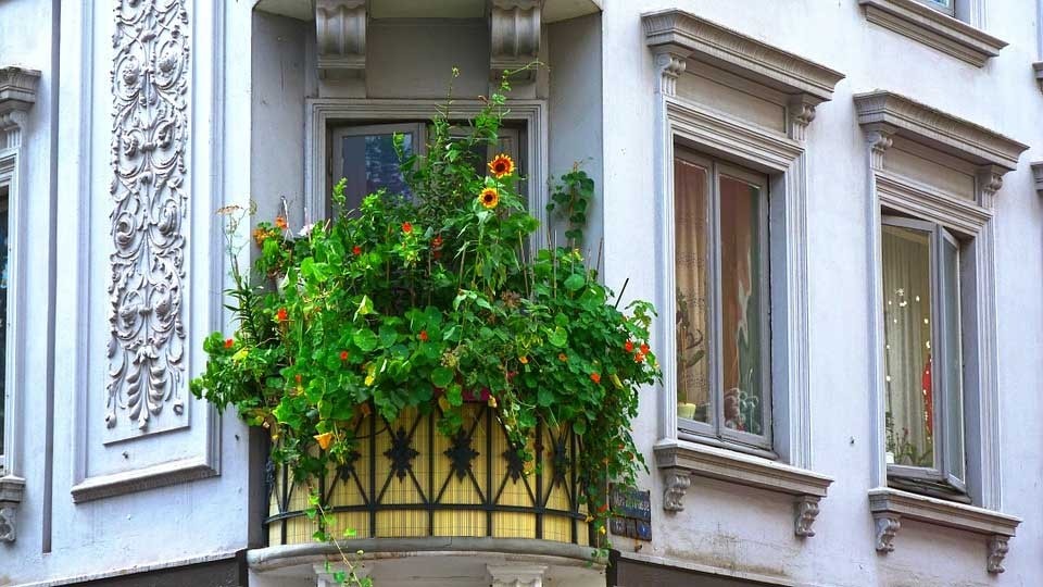Bohaté rozkvetlé balkonové květiny